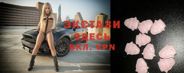 стафф Корсаков