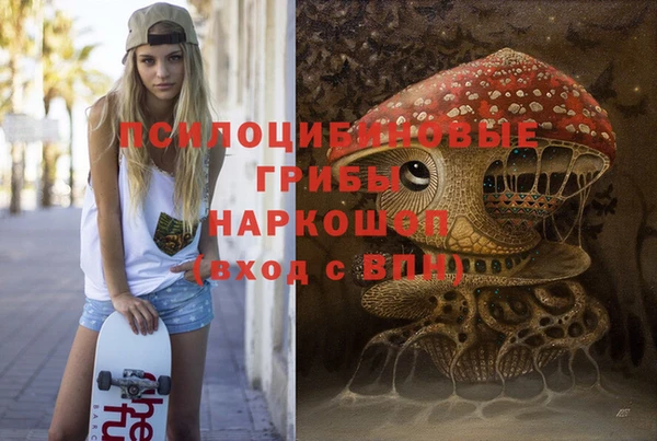 эйфоретик Богородск